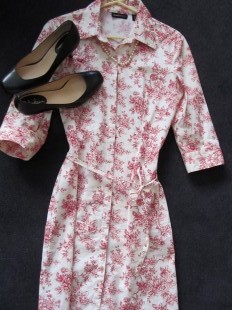 shirtdress 1